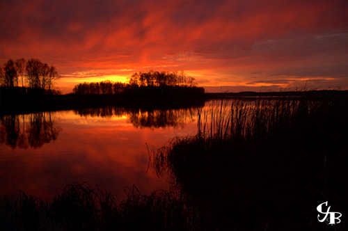 Photo: Sunset on Wild Rice Lake in northern Minnesota. Photo by Chris J. Benson
