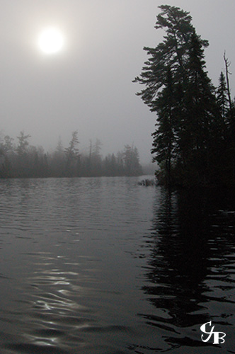 Photo: Sunrise in the fog over a brook trout lake in northern Minnesota. Photo by Chris J. Benson