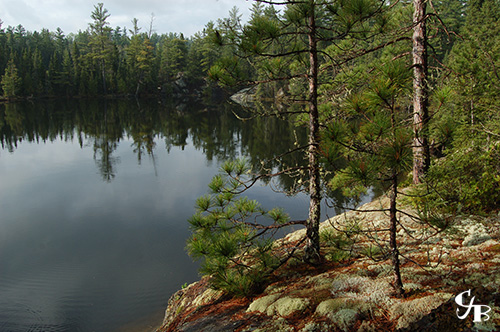 Photo: Brook Trout lake in the BWCA in northern Minnesota. Photo by Chris J. Benson