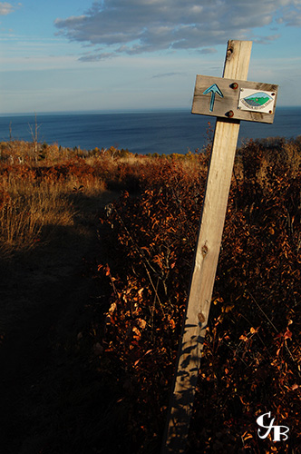 Photo: Superior hiking trail looking towards Lake Superior. Photo by Chris J. Benson